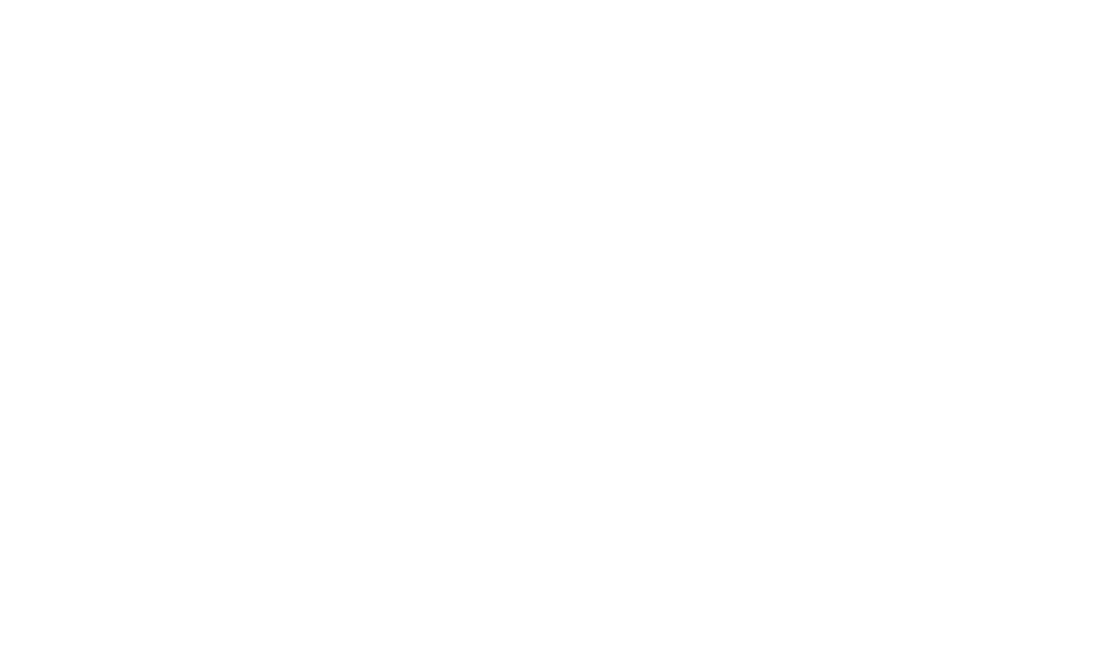 www.zieduslenis.lt